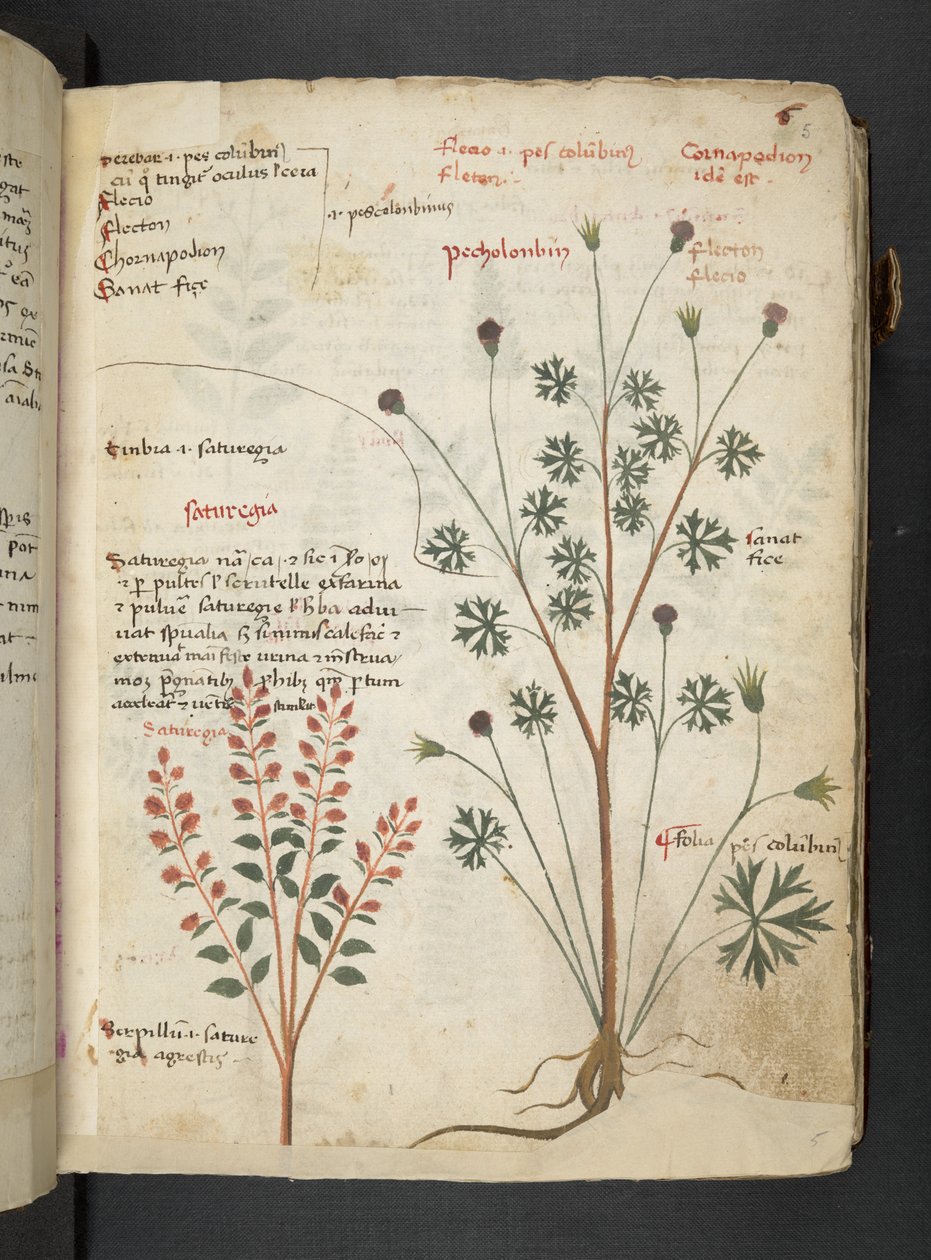 Adicionar MS 41623 