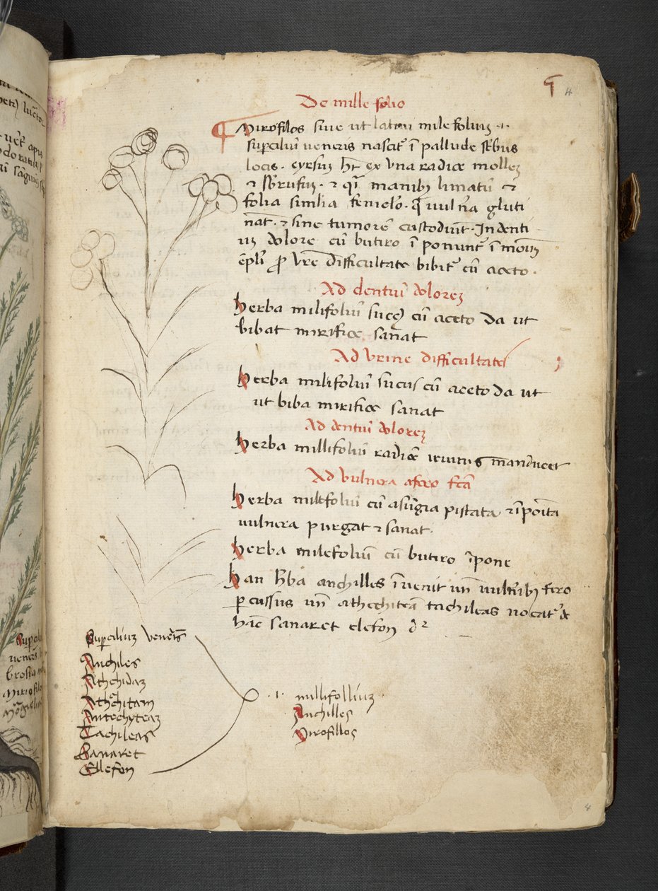 Adicionar MS 41623 