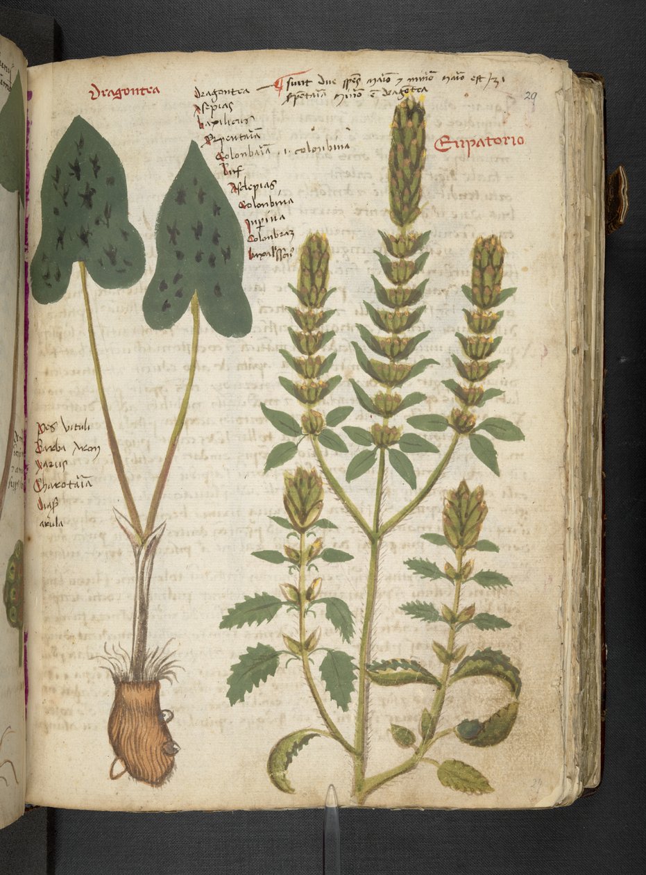 Adicionar MS 41623 