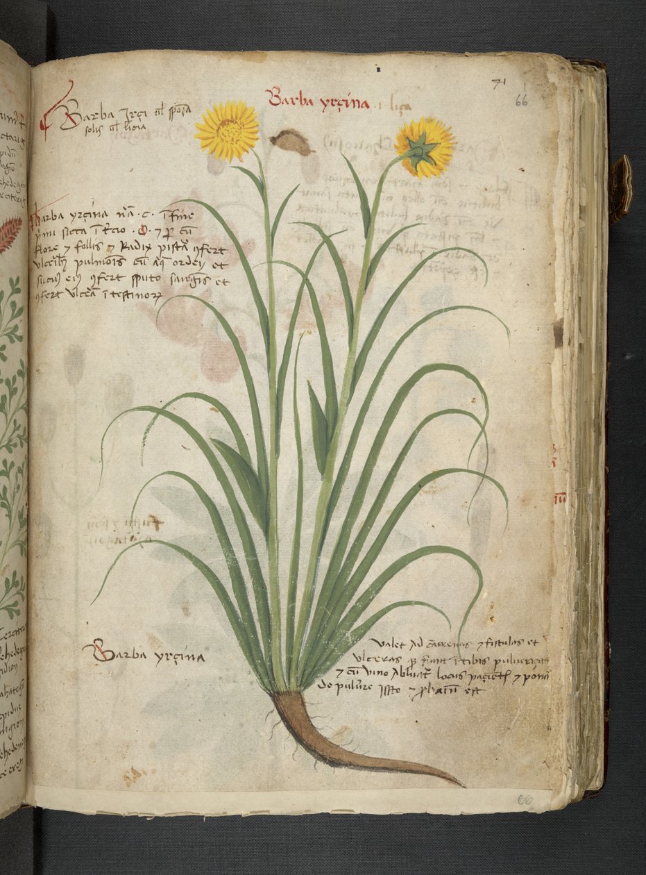 Adicionar MS 41623 