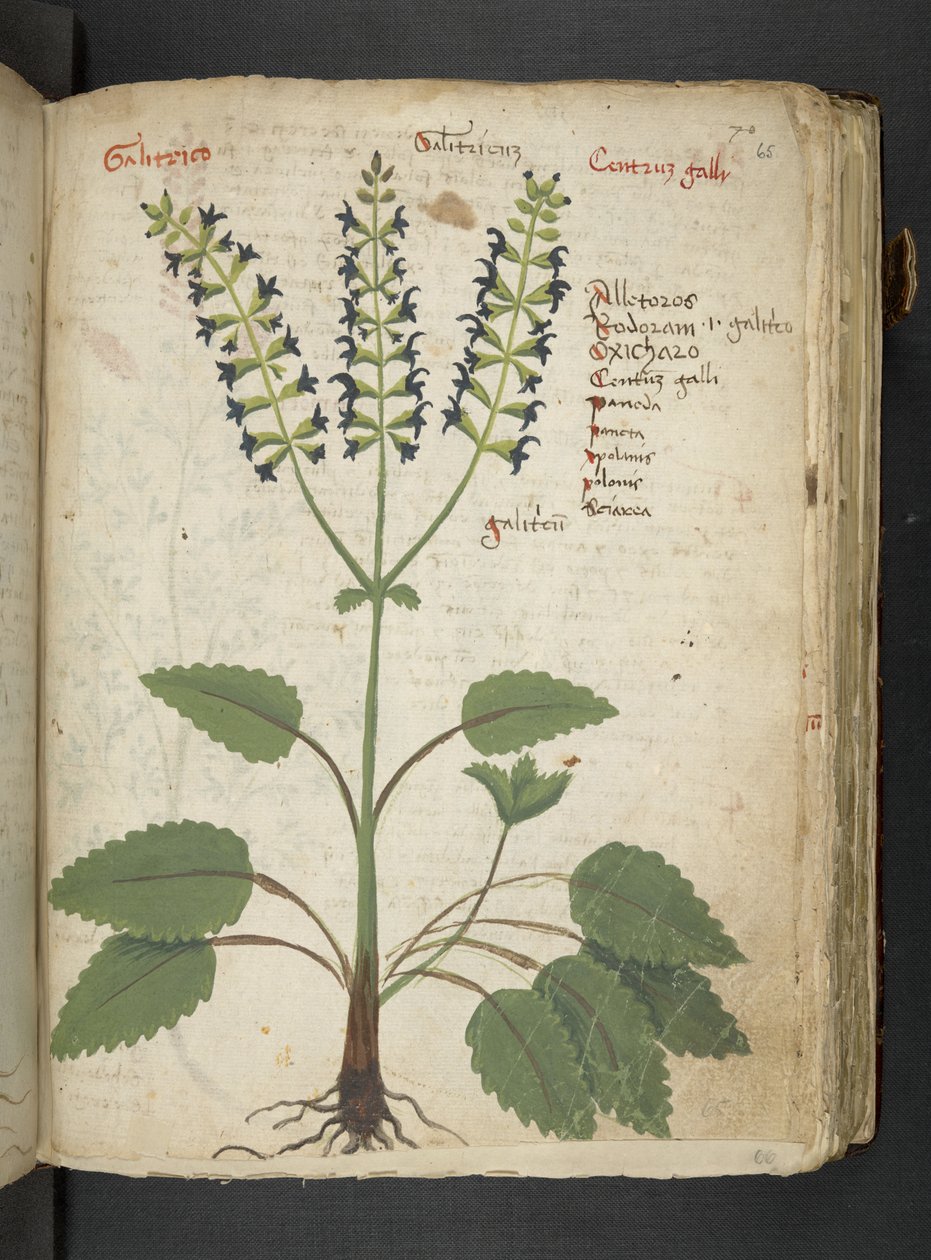 Adicionar MS 41623 