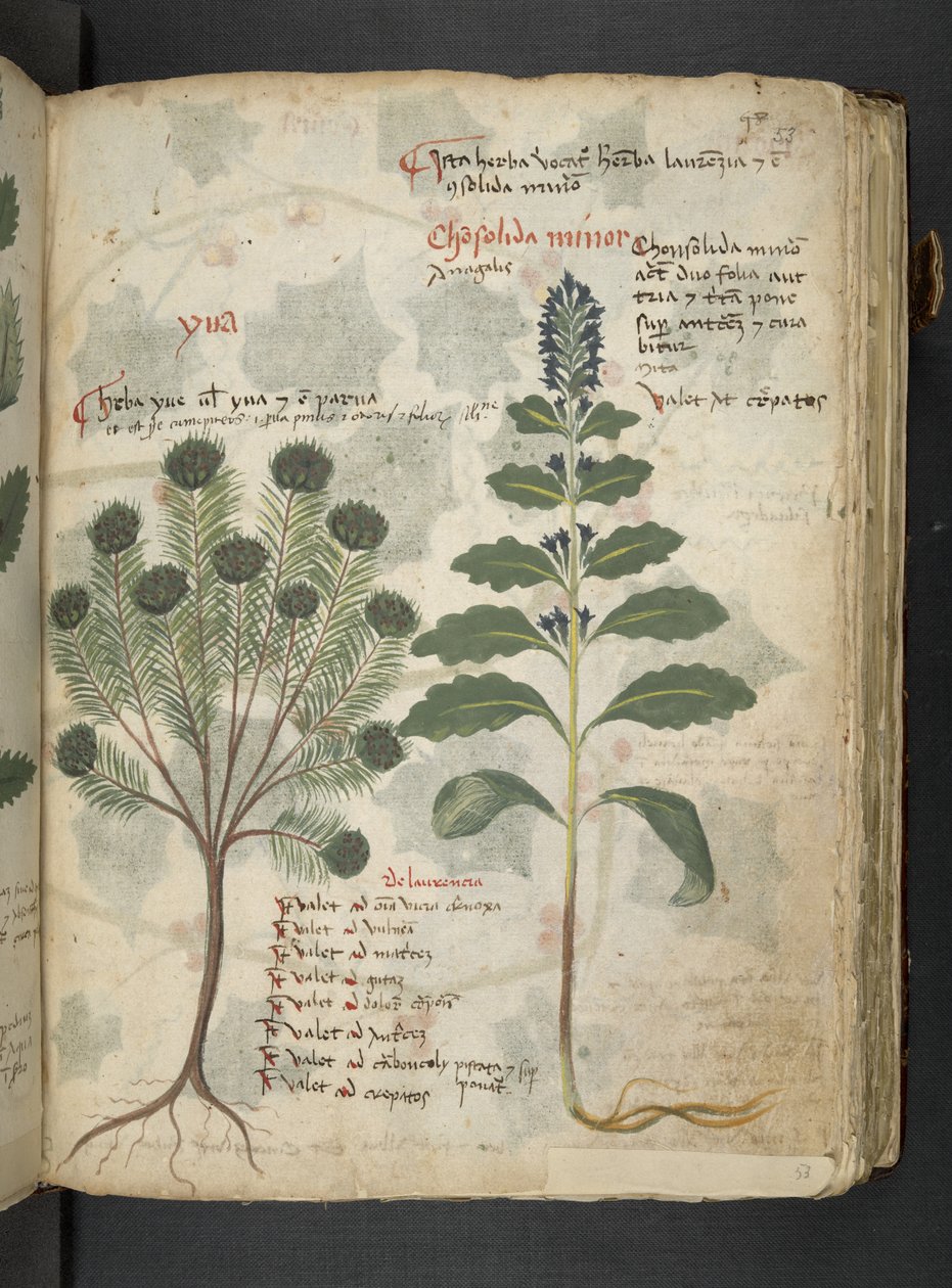 Adicionar MS 41623 