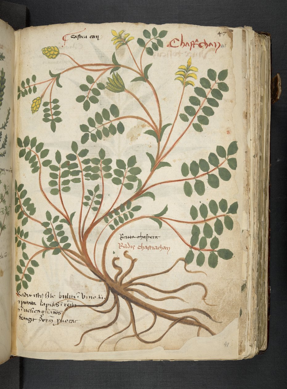 Adicionar MS 41623 