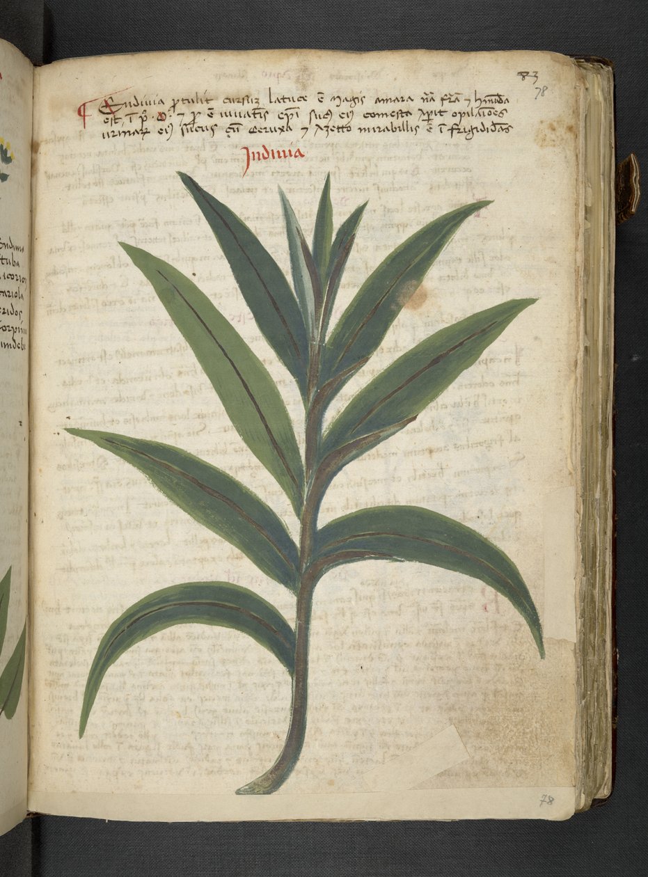 Adicione MS 41623 