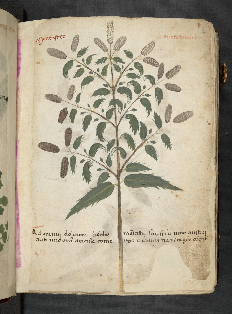 Adicionar MS 41623 