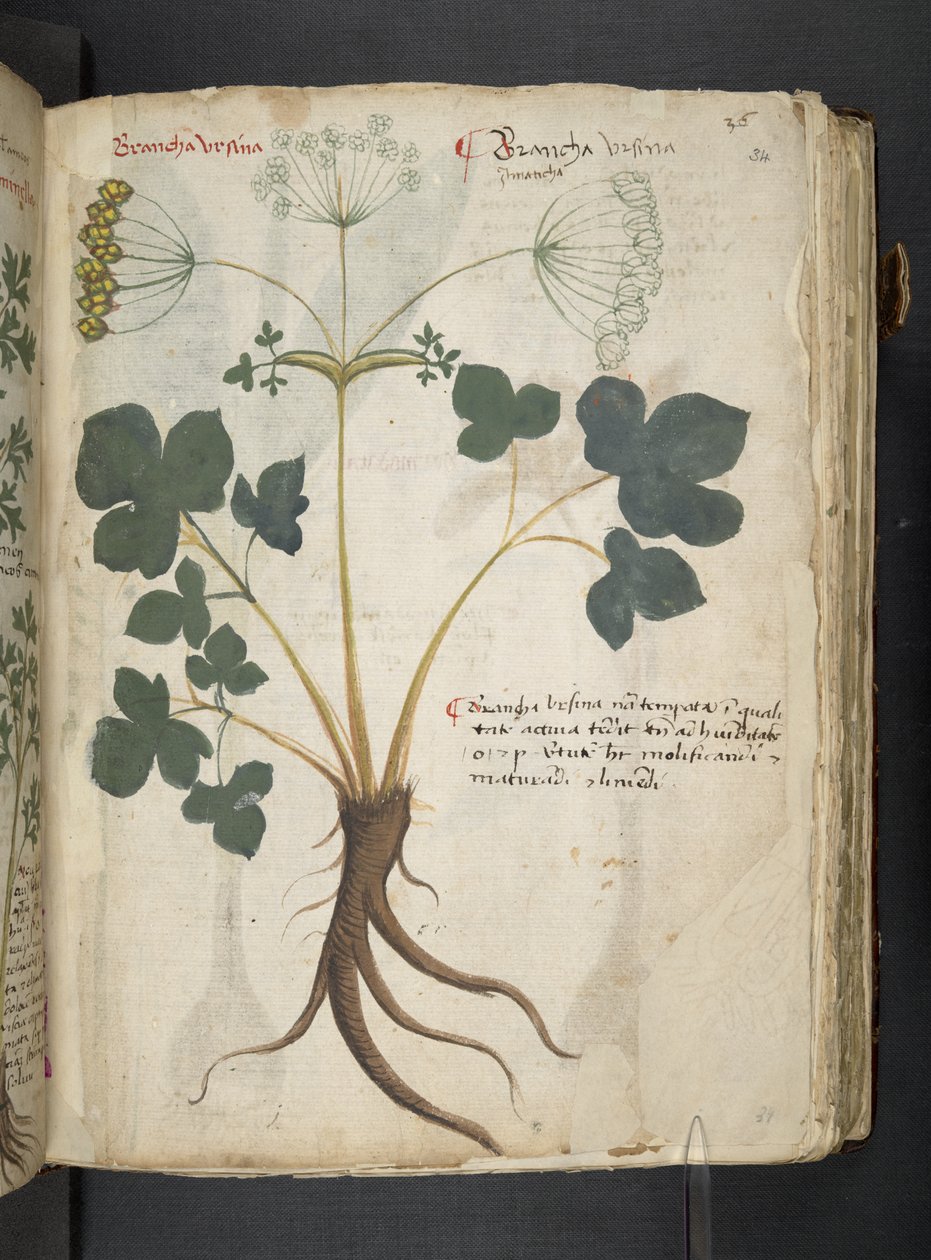 Adicionar MS 41623 