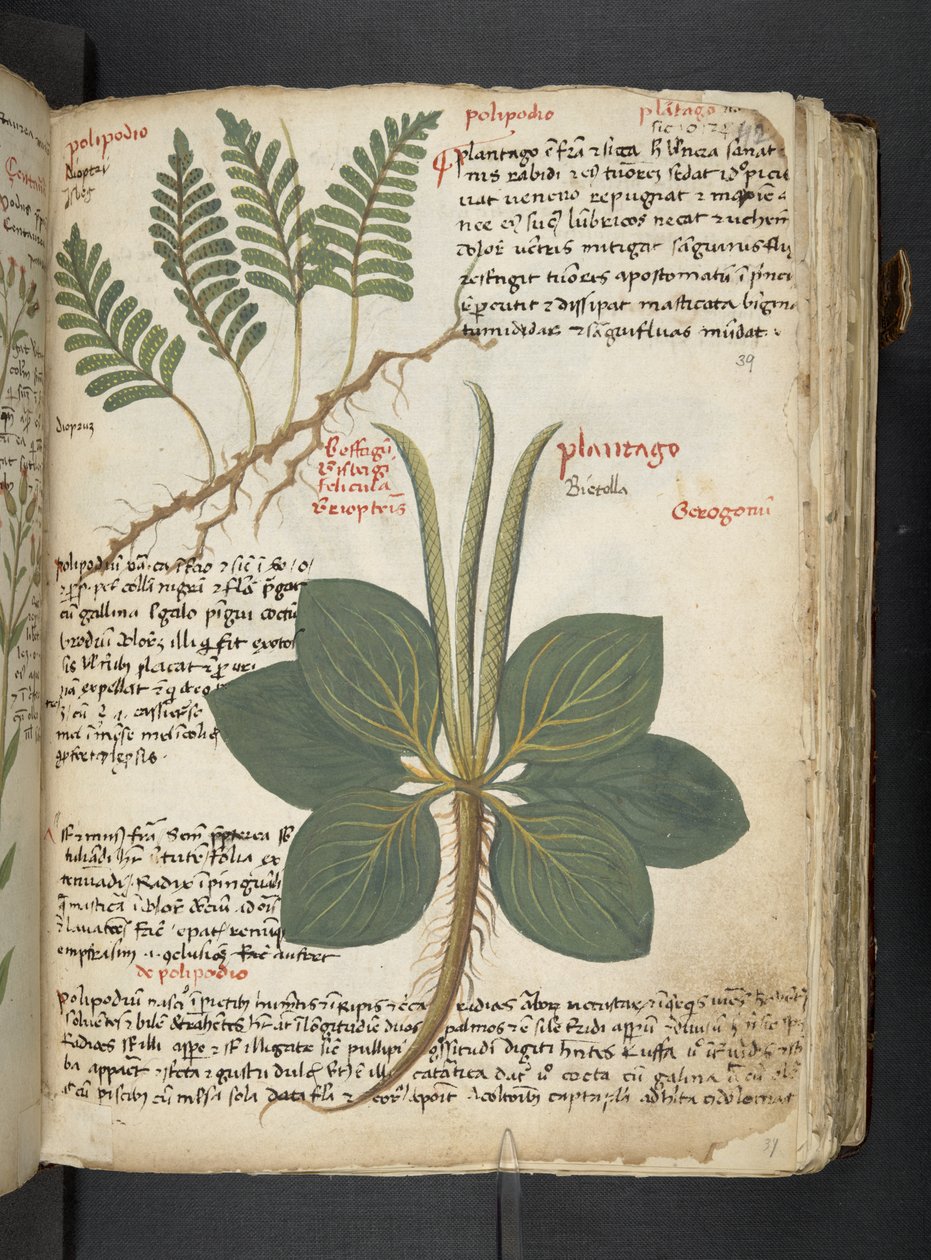 Adicionar MS 41623 