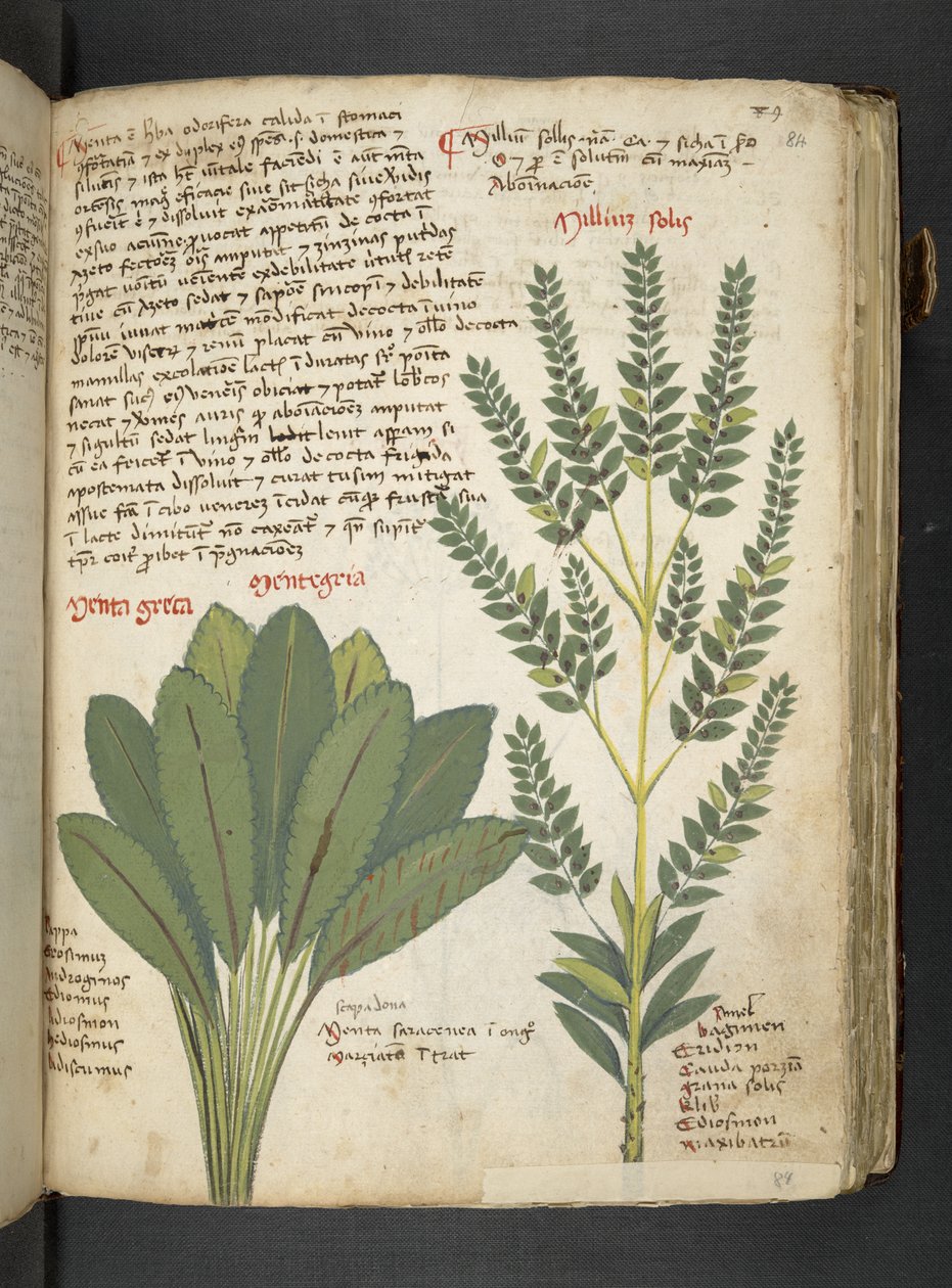 Adicionar MS 41623 