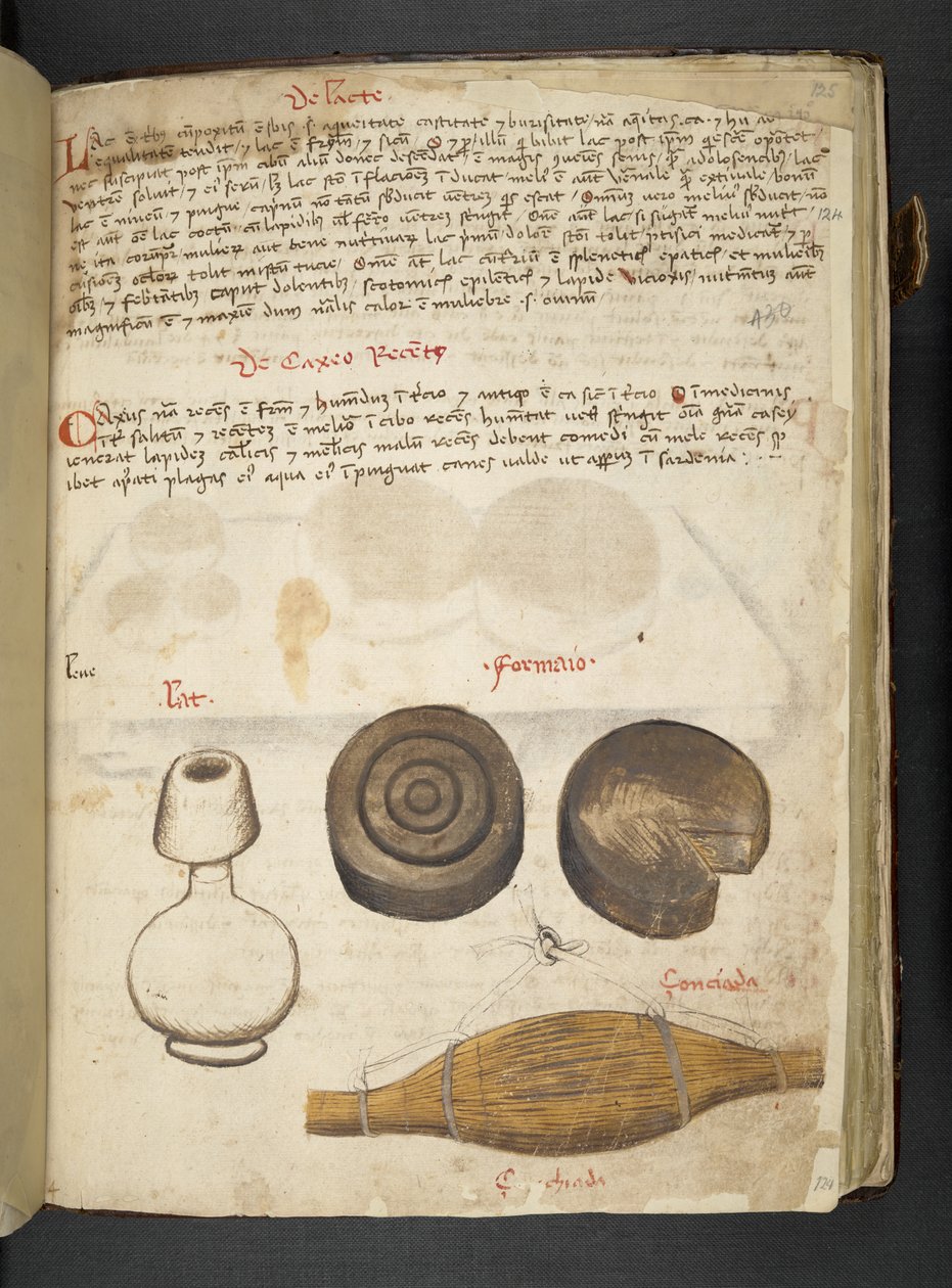 Adicionar MS 41623 f.124r 