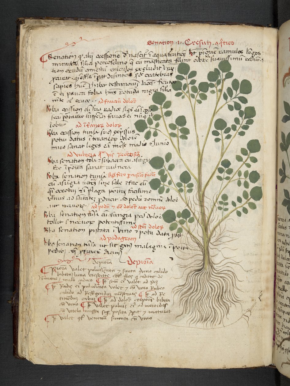 Adicionar MS 41623 f.32v 