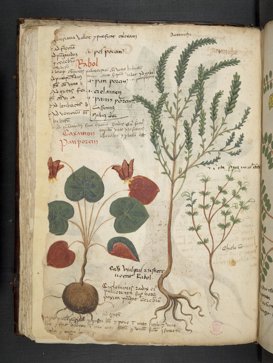 Adicionar MS 41623 f.40v 