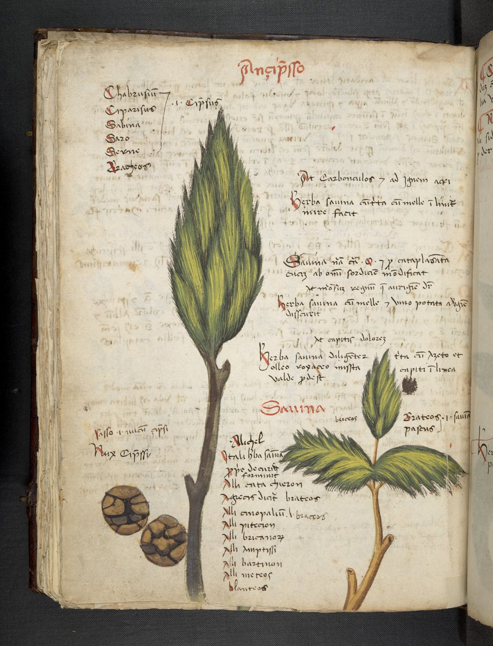 Adicionar MS 41623 f.62v 