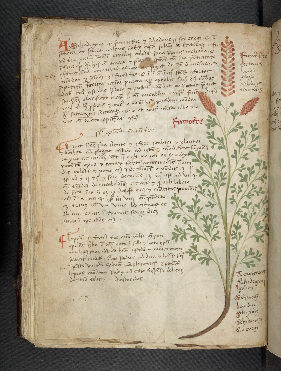 Adicionar MS 41623 f.65v 