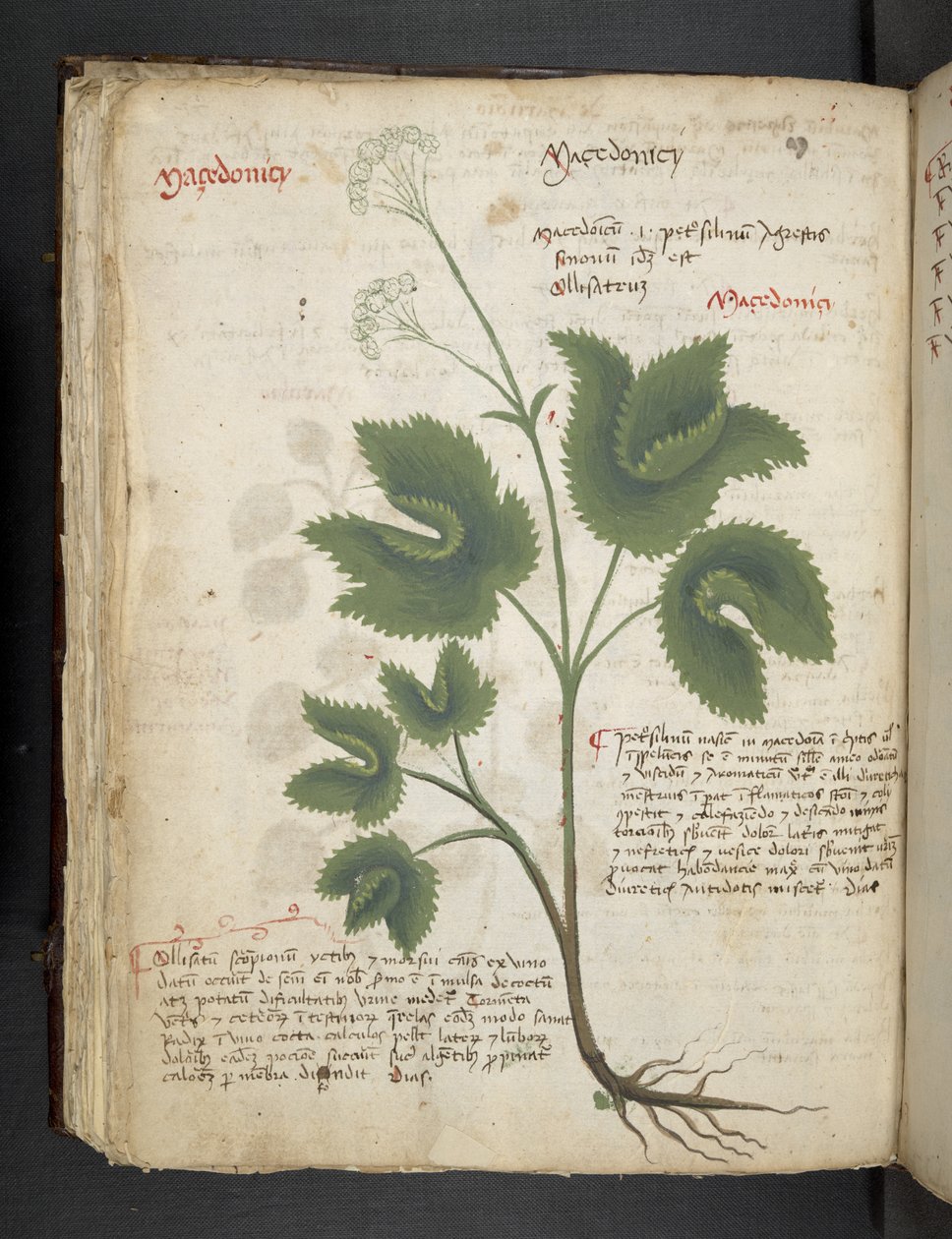 Adicionar MS 41623 f.67v 