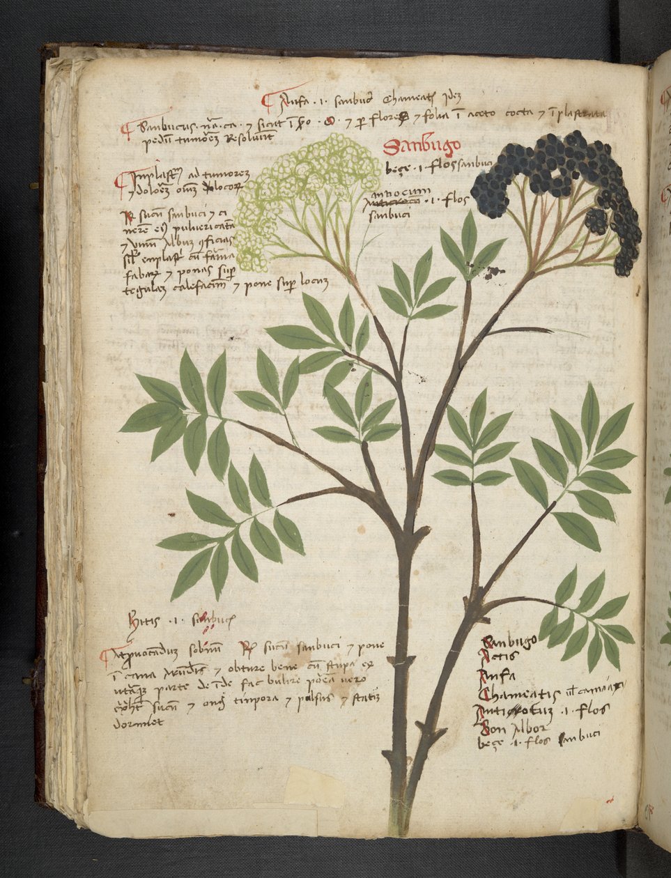 Adicionar MS 41623 f.72v 
