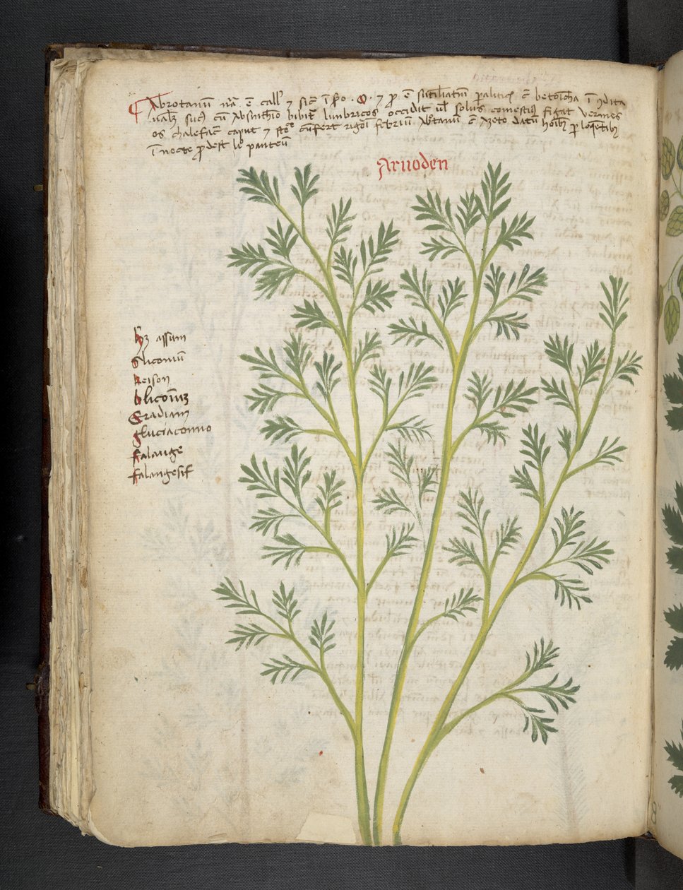 Adicionar MS 41623 f.74v 