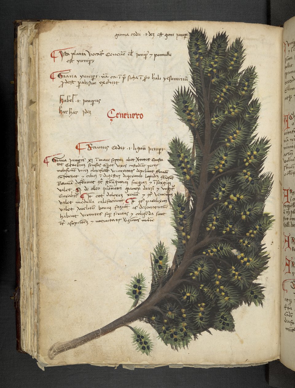 Adicionar MS 41623 f.96v 