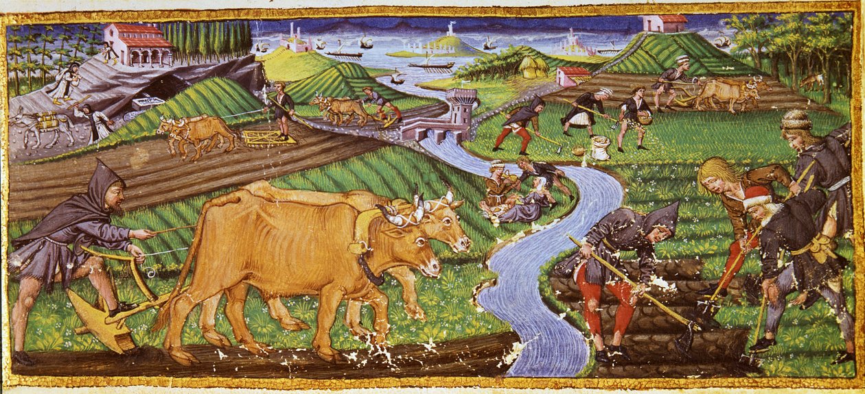 A agricultura no início do século XV. Biblioteca Ricciardiana, Florença. de Italian School