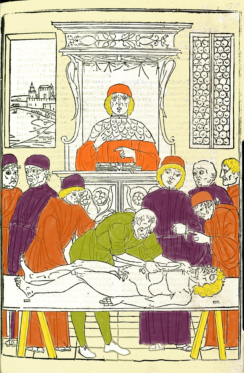 Dissecação anatómica. Gravura de um Tratamento Médico de Gerolamo Cardano (Cardano) (Cardanus Hieronymus), Florença de Italian School