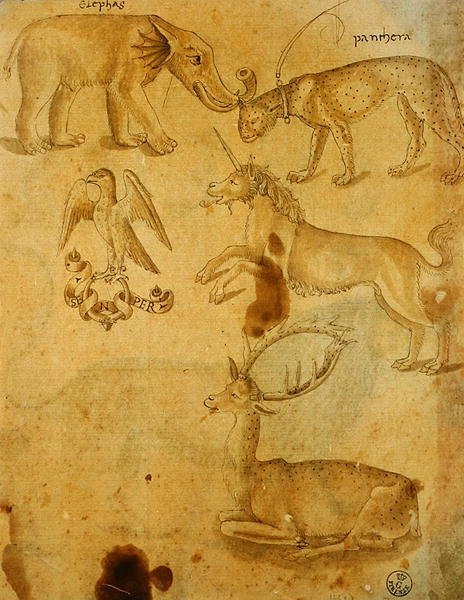 Animais (caneta, tinta e lavagem sobre papel) de Italian School