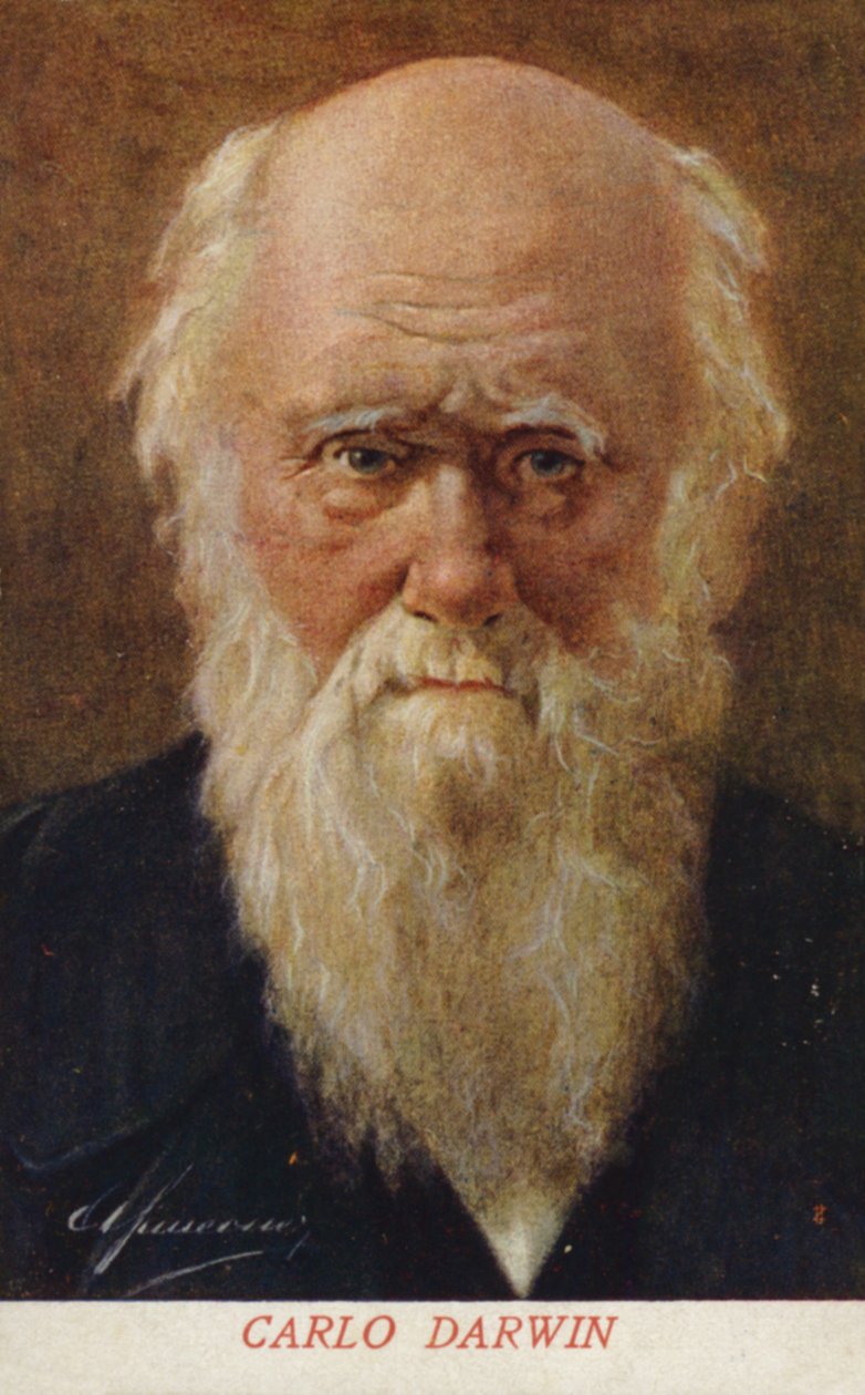 Charles Darwin (1809-1882), naturalista inglês (litografia a cores) de Italian School