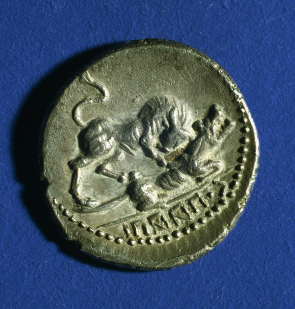 Moeda das Tribos Itálicas mostrando um touro atacando a loba romana, 89-90 aC (prata) de Italian School