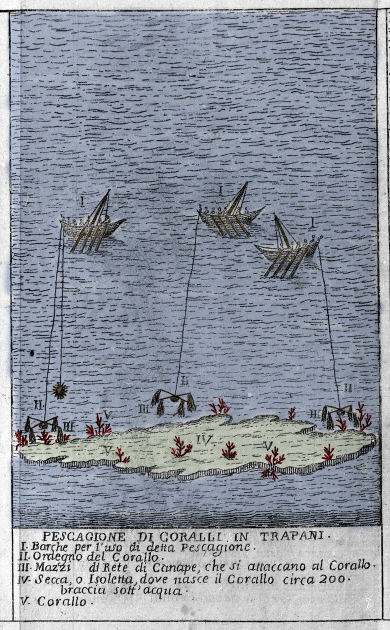 Pesca de coral no Golfo de Trapani, na Sicília, uma representação das pequenas ilhas submarinas onde se formam os barris de coral. Gravura de "Stato Presente della Sicilia" de Arcangelo Leanti, Palermo 1761 de Italian School