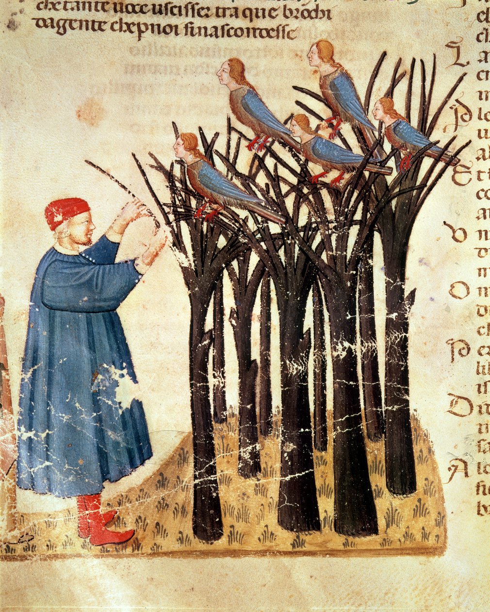 Dante e as almas transformadas em pássaros, da divina comédia por Dante Alighieri (1265-1321) de Italian School