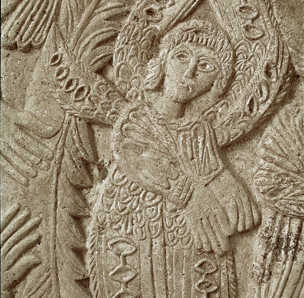 Detalhe de 