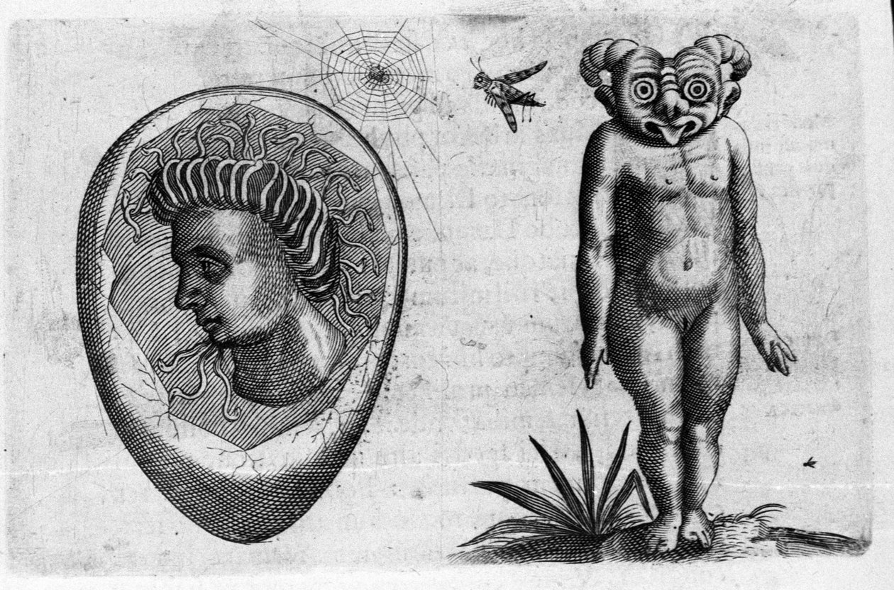 Diferentes tipos de monstros humanos: um homem fóssil e um monstro. Gravura de "De monstrorum natura, causis et differentiis" de Fortunio Liceti (1577-1656), cientista italiano. 1646 de Italian School