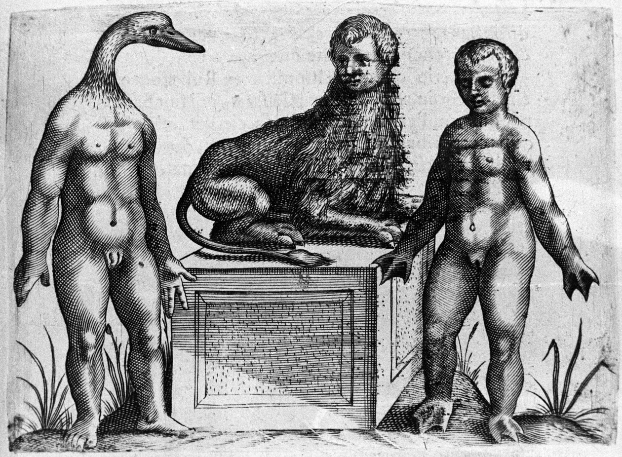 Diferentes tipos de monstros humanos: um homem com a cabeça de um pato, um homem com o corpo de um leão e outro com as mãos da palma da mão. Gravura de "De monstrorum natura, causis et differentiis" de Fortunio Liceti (1577-1656), cientista italiano. 1646 de Italian School