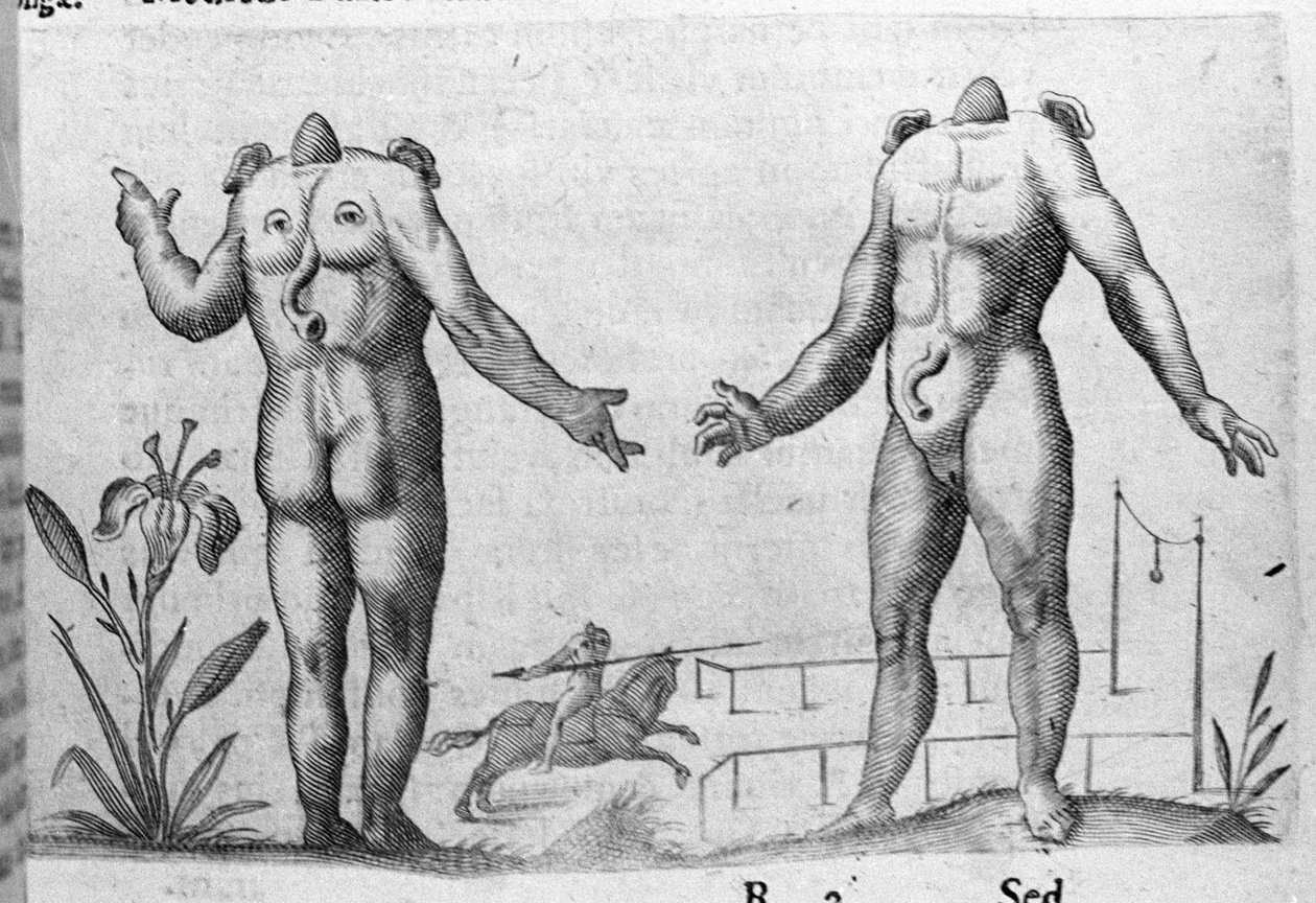 Diferentes tipos de monstros humanos: um homem sem cabeça. Gravura de "De monstrorum natura, causis et differentiis" de Fortunio Liceti (1577-1656), cientista italiano. 1646 de Italian School