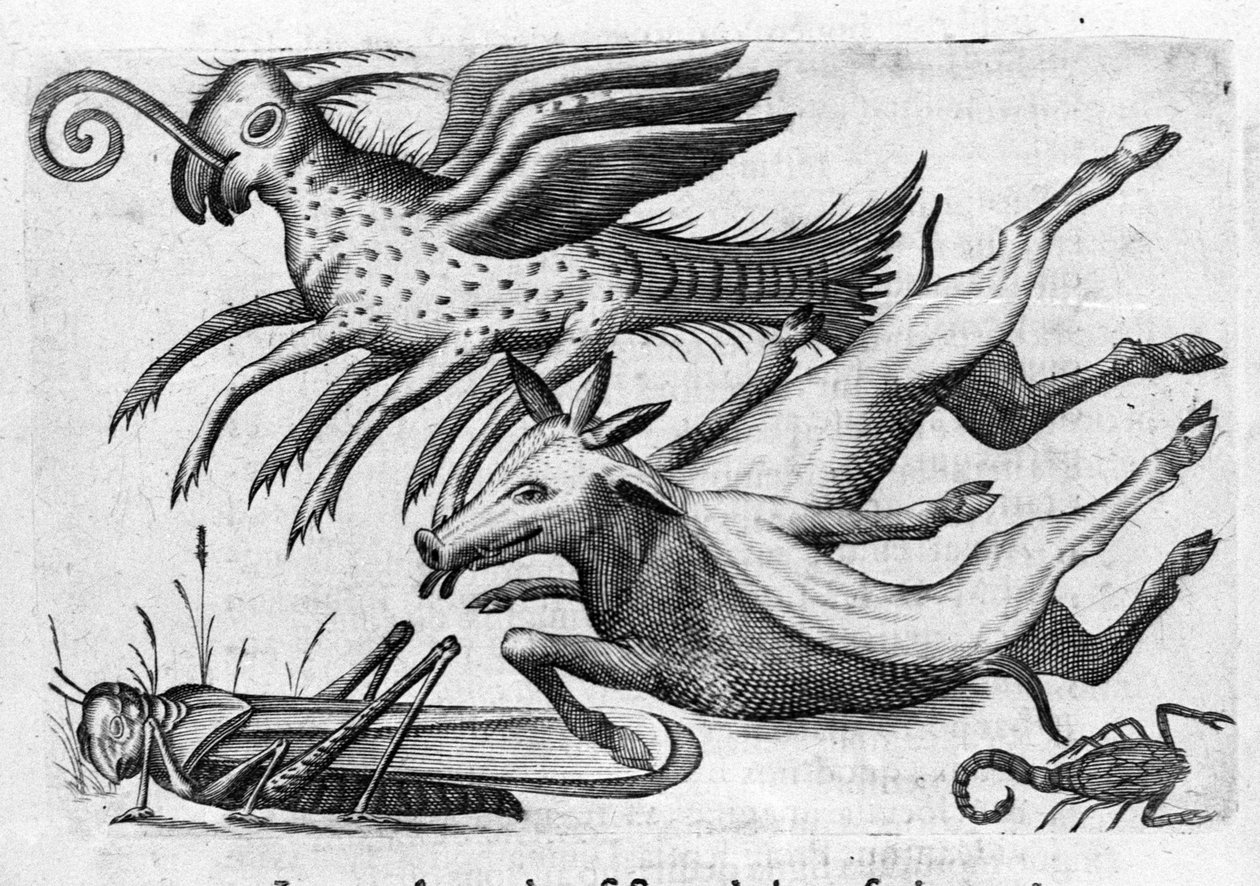 Diferentes tipos de animais monstruosos. Gravura de "De monstrorum natura, causis et differentiis" de Fortunio Liceti (1577-1656), cientista italiano. 1646 de Italian School