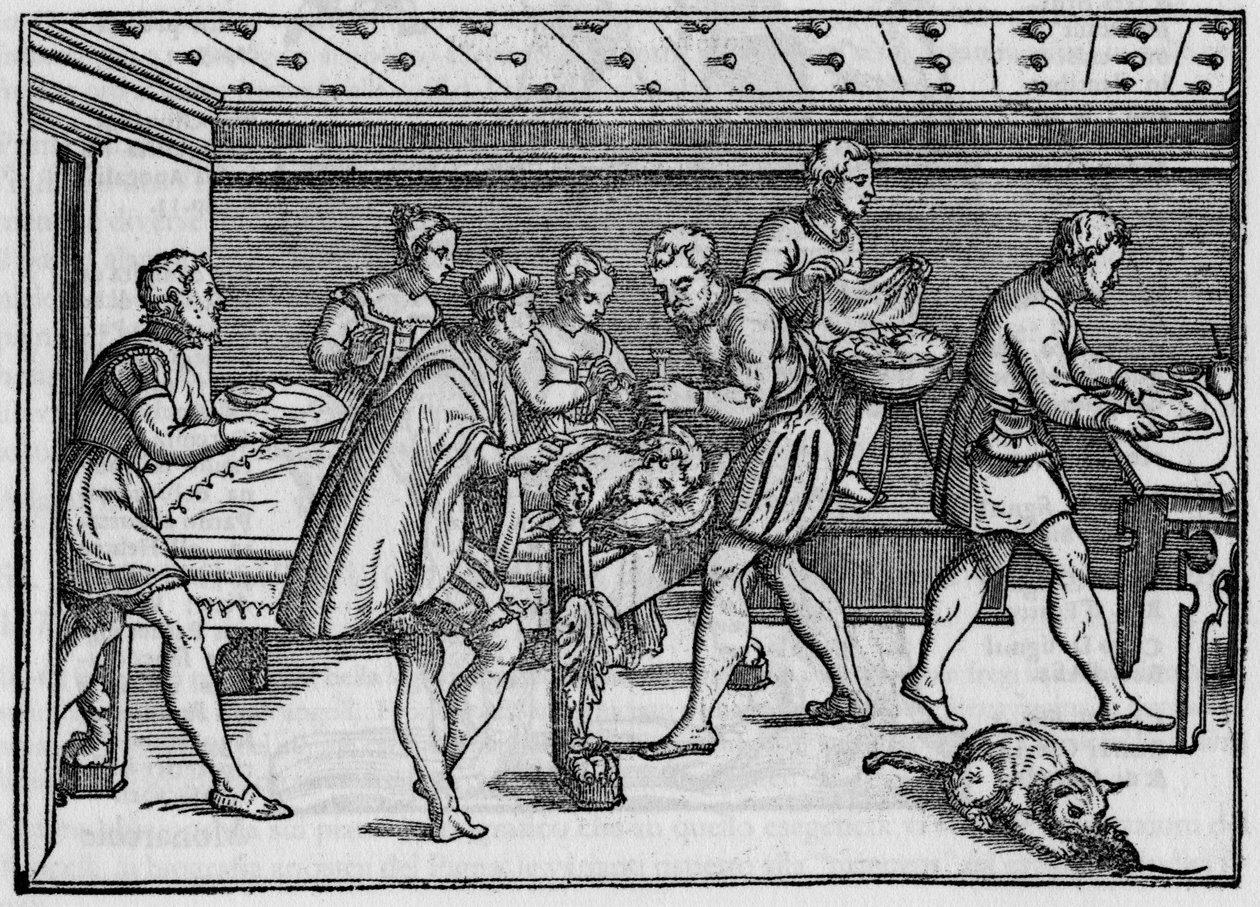 Gravura de 1574 em "Della Cirurgia" (On surgery) de Giovanni Andrea dalla Croce, cirurgião italiano. de Italian School