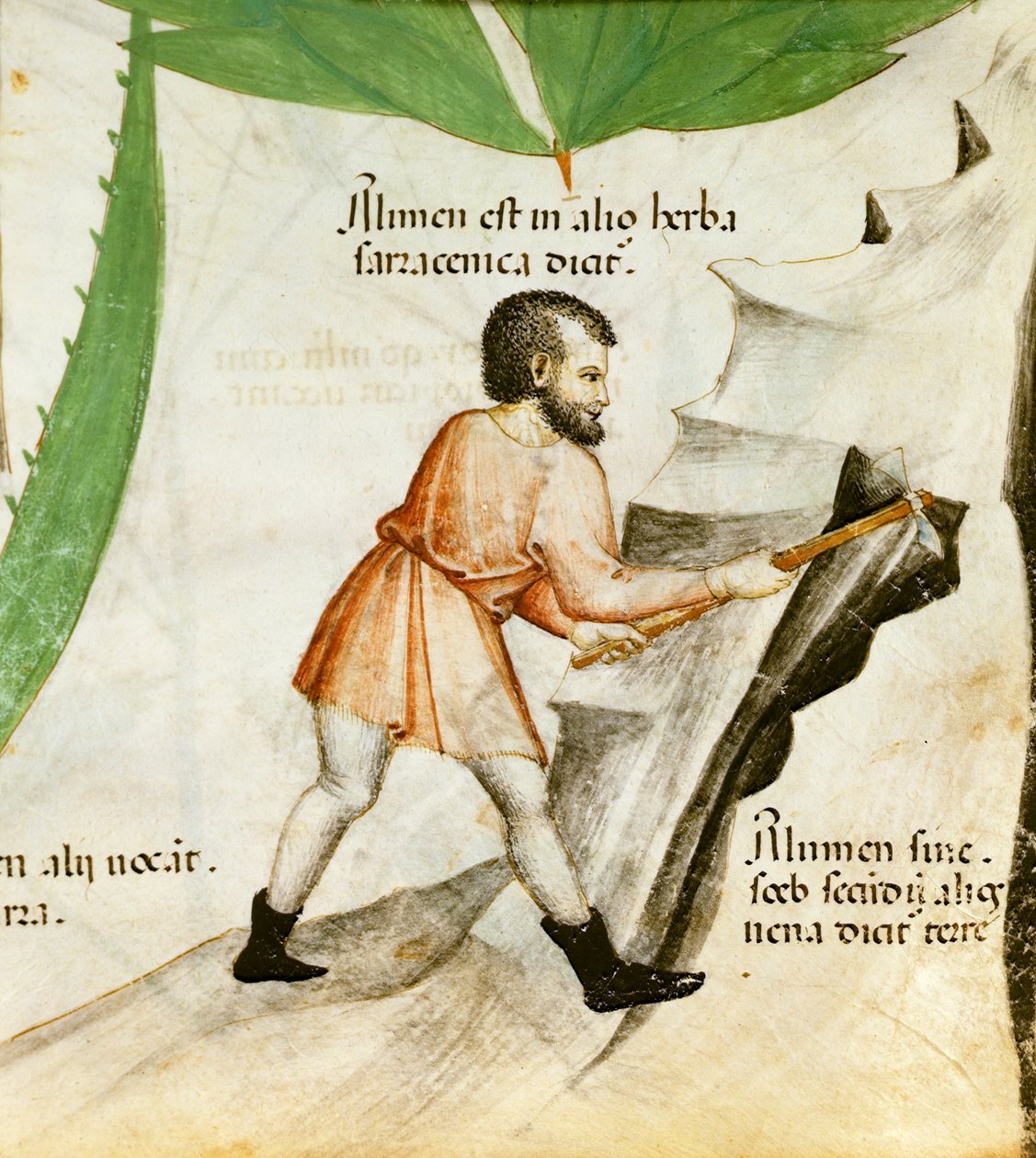 Extraindo Alúmen, c.1440 (lito colorido) de Italian School