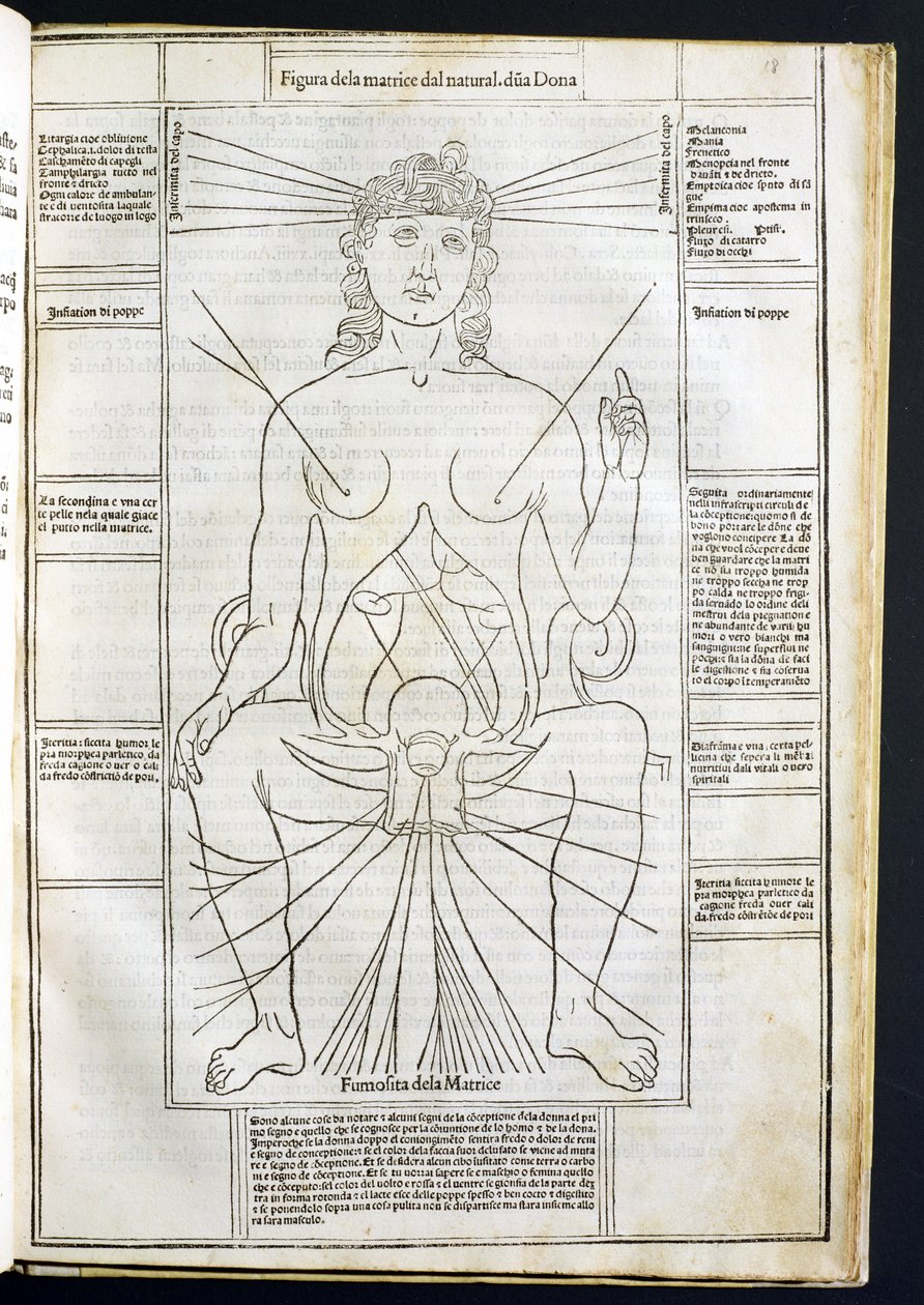 Anatomia Feminina de Fasciculus Medicinae por Johannes de Ketham (c. 1490) c.1507 de Italian School