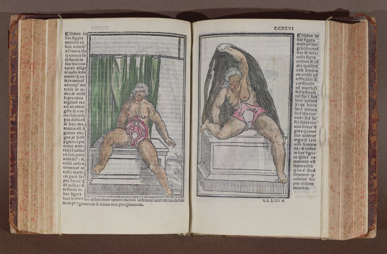 anatomia feminina, de História, com as mais generosas adições ao mundini anatomia, byJacopo Berengarlo da Carpi (c.1460-c.1530), publicado em Bolonha, (impressão cor woodblock) 1521 de Italian School