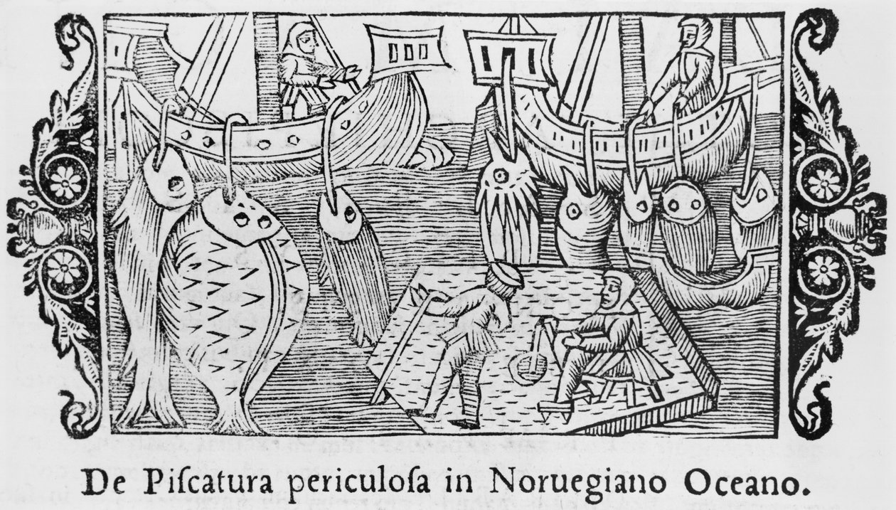 Pesca no Oceano norueguês, de uma História dos Povos do Norte por Olaus Magnus (1490-1558), publicado em Roma, 1555 de Italian School