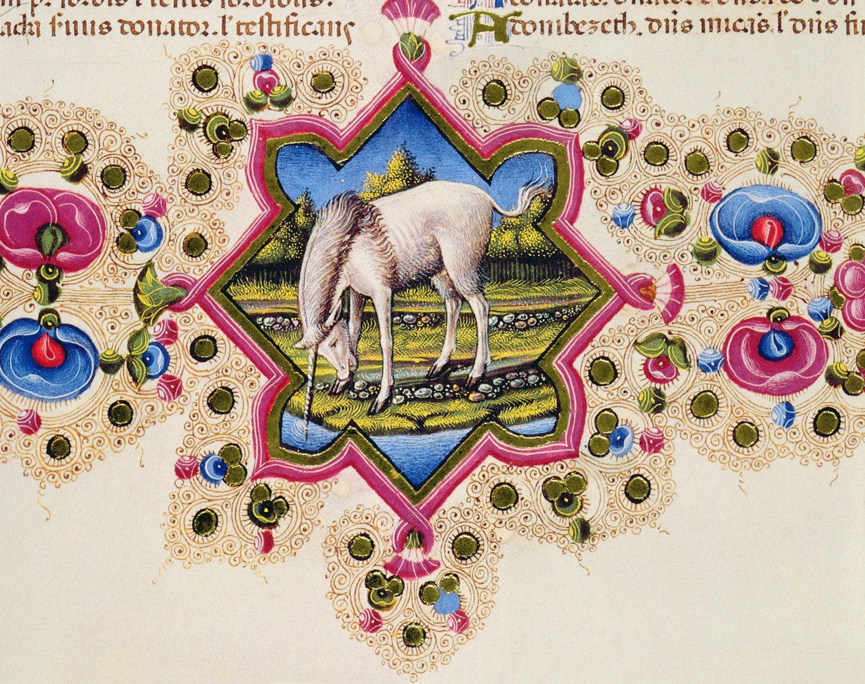 Fol.245V Um Unicórnio, da Bíblia Borso d