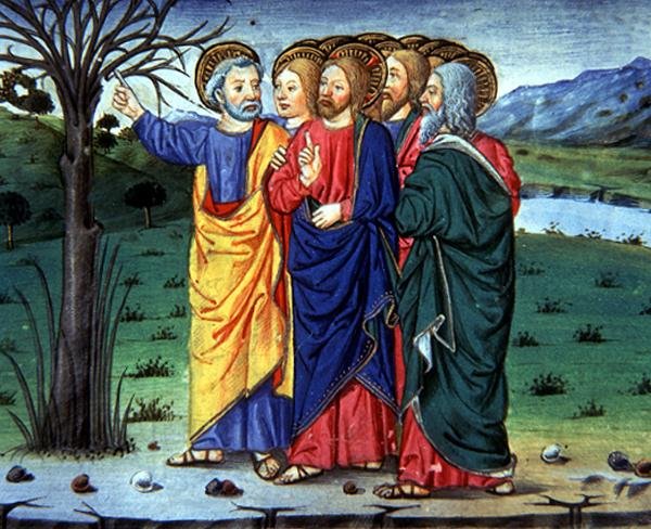 Fol.63r Pedro aponta a Cristo uma árvore seca (vellum) de Italian School
