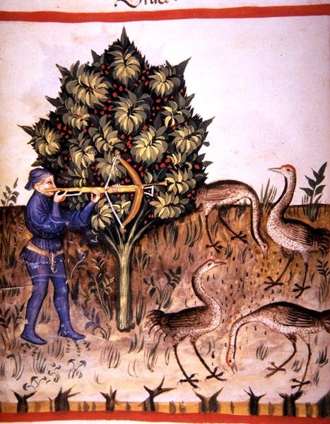 Fol.70v Grua de caça, ilustração de 