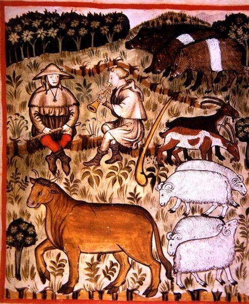 Fol.71r Animais castrados, ilustração de 