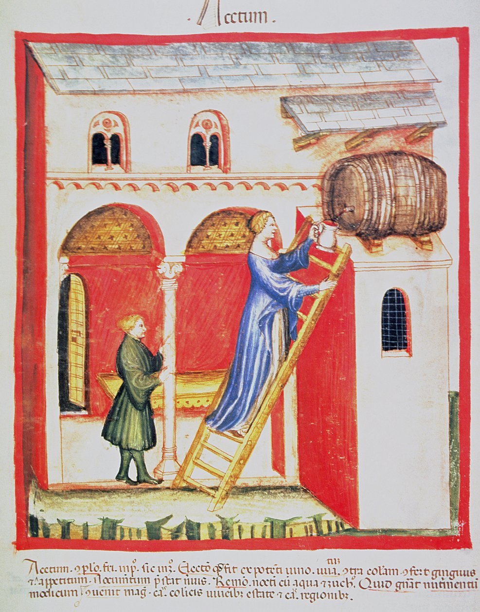 Vinagre Fol.85v, ilustração de Tacuinum Santiatis Codex Vindobonensis de Italian School