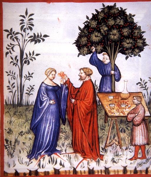 Fol.86r Vinho Branco, ilustração de 