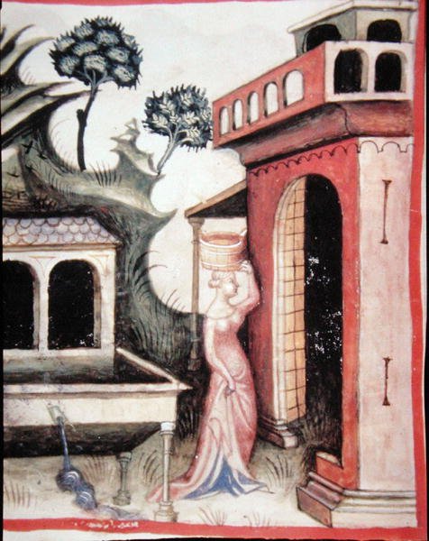 Fol.88v Água de nascente, ilustração de 