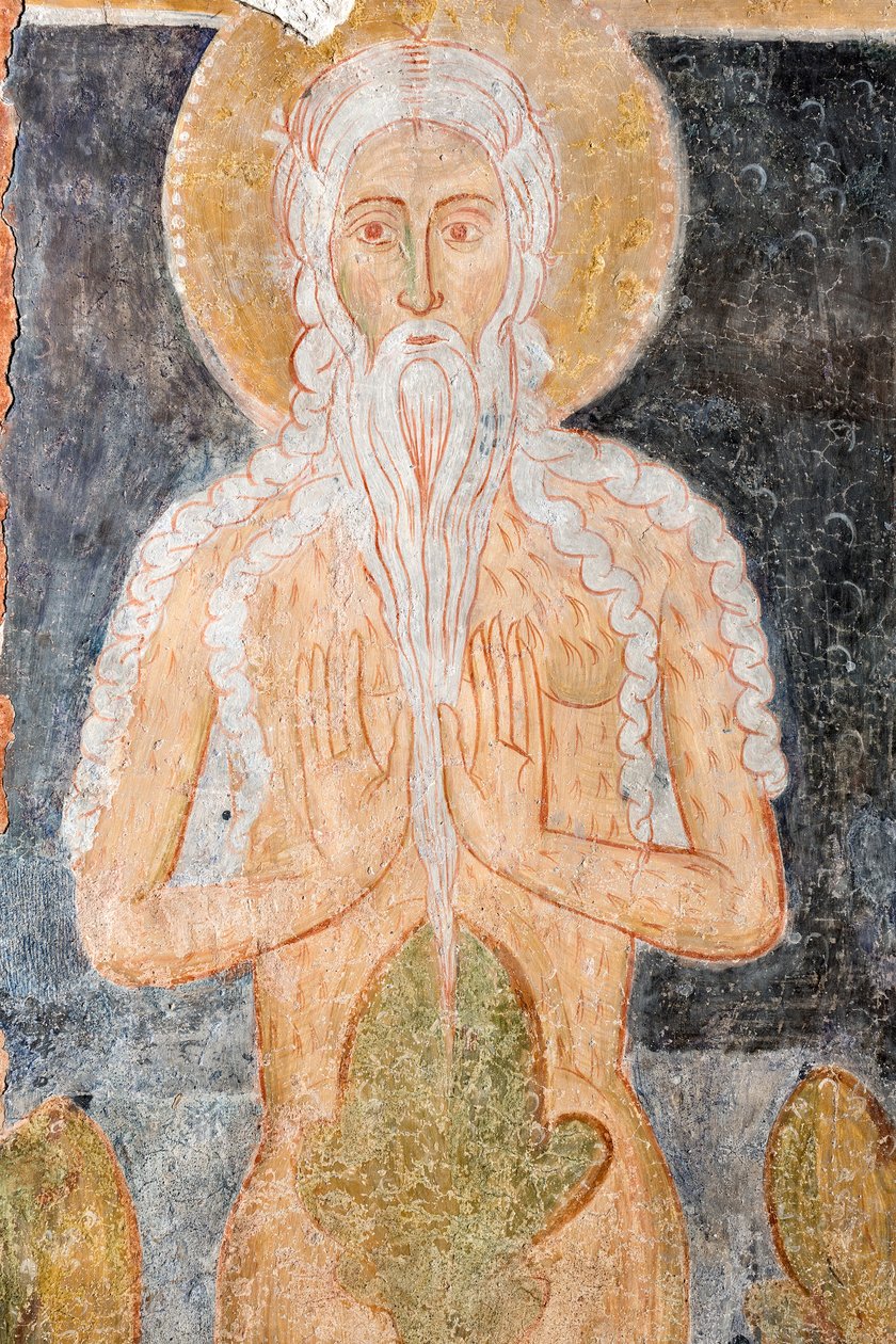 Fresco - Santo Onofrio Eremita de Italian School