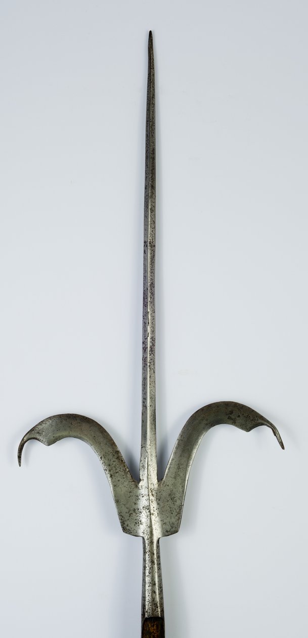 Friuli Spear, c.1600 (aço e madeira) de Italian School
