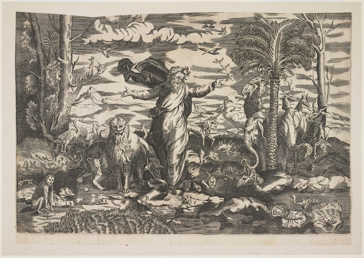 Deus Criando os Animais, c.1550 de Italian School