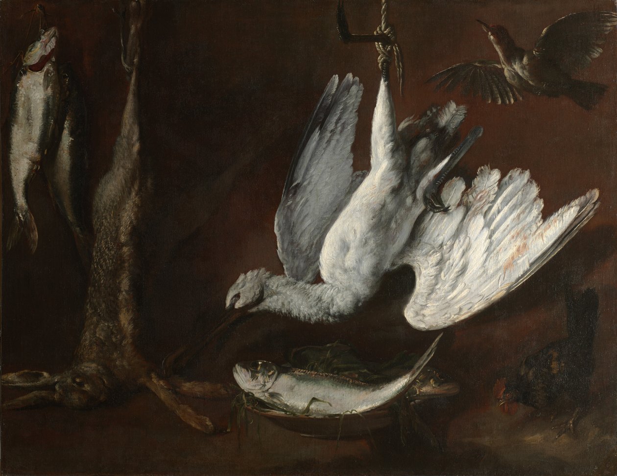 Lebre, colhereiro e peixe, meados de 1600 (óleo sobre tela) de Italian School