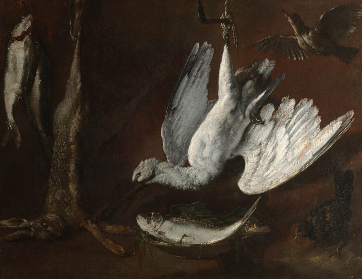 Lebre, Colhereiro e Peixe, meados dos anos 1600 de Italian School